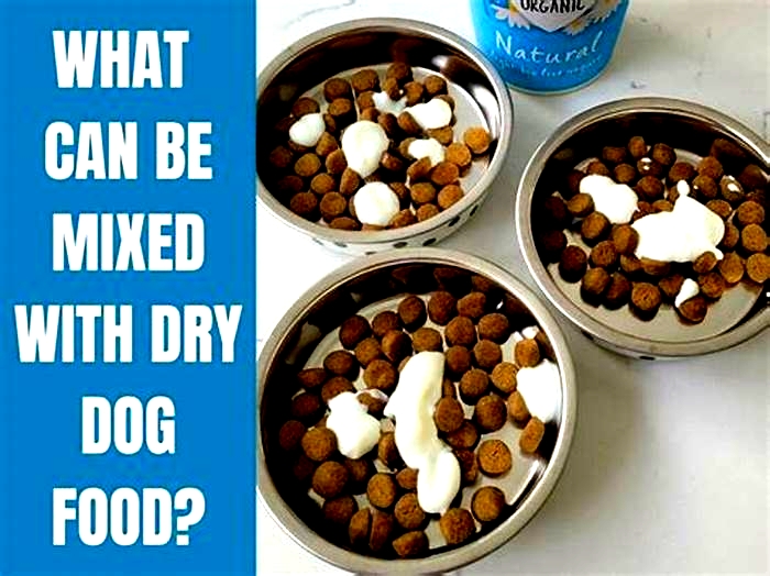 What can I mix with my dog s dry food