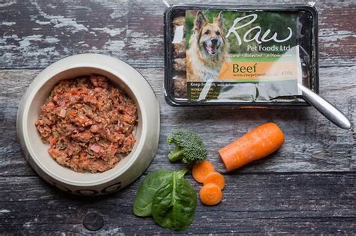 What cheap meat is good for dogs?