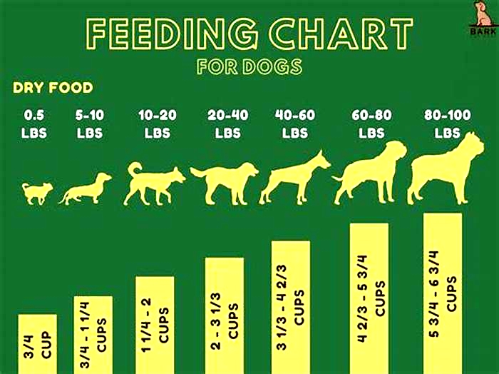 What does 80 10 10 mean dog food?