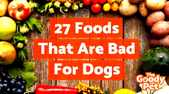 What food is worse for dogs?