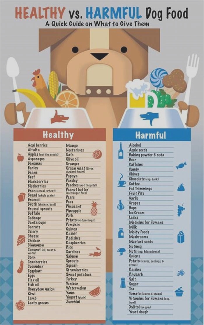 What food should Shih Tzus avoid?