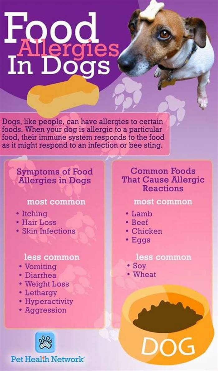 What foods are Shih Tzu allergic to