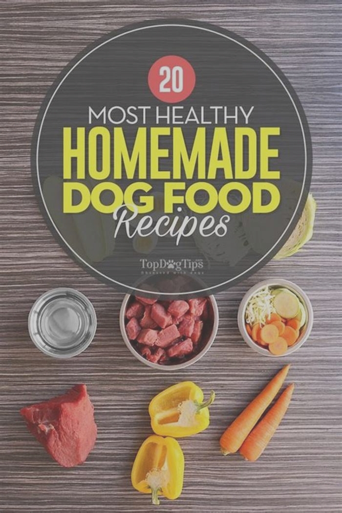 What homemade food is good for dogs?