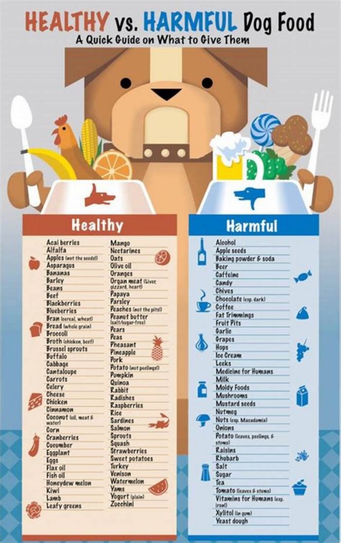 What human foods can Shih Tzu dogs eat