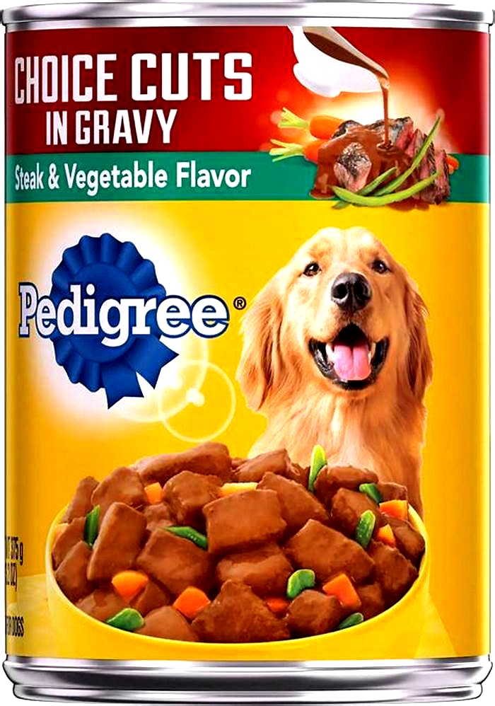 What ingredient is bad in dry dog food?