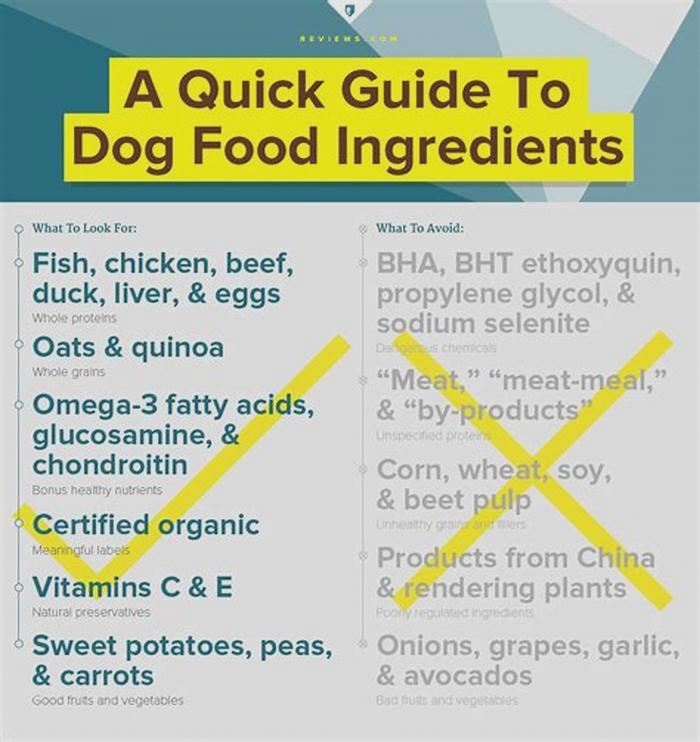 What ingredients should be avoided in dry dog food