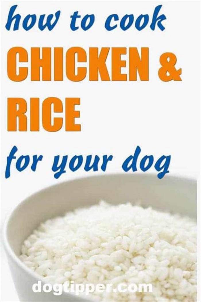 What is a good substitute for chicken and rice for dogs?