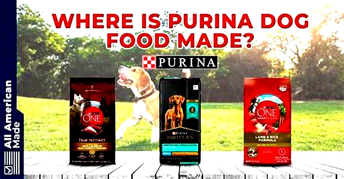 What is going on with Purina dog food 2024?