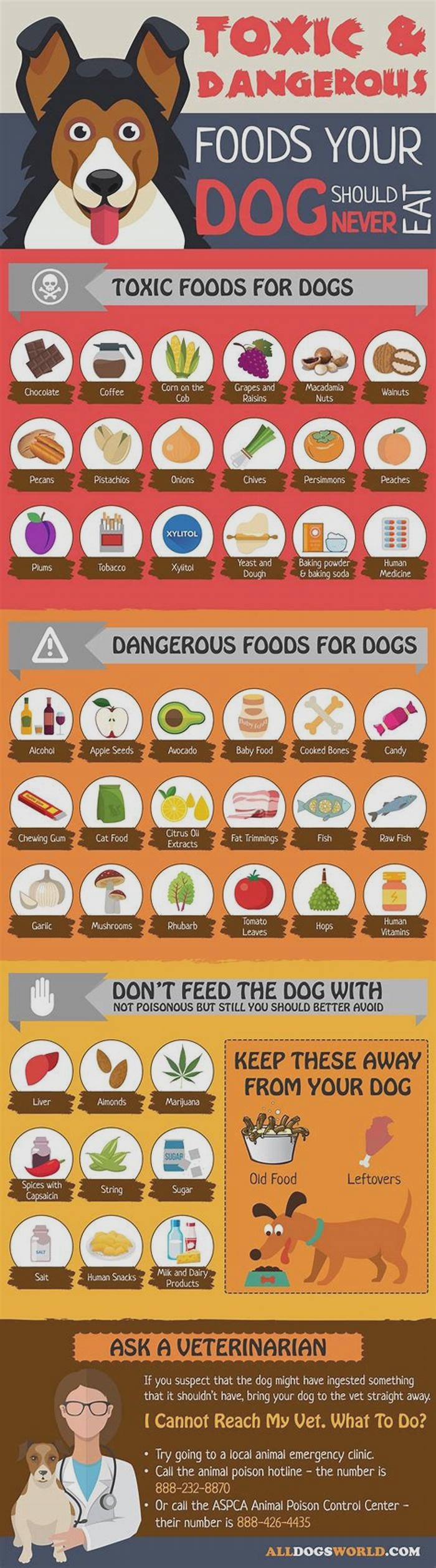 What is high risk dog food?