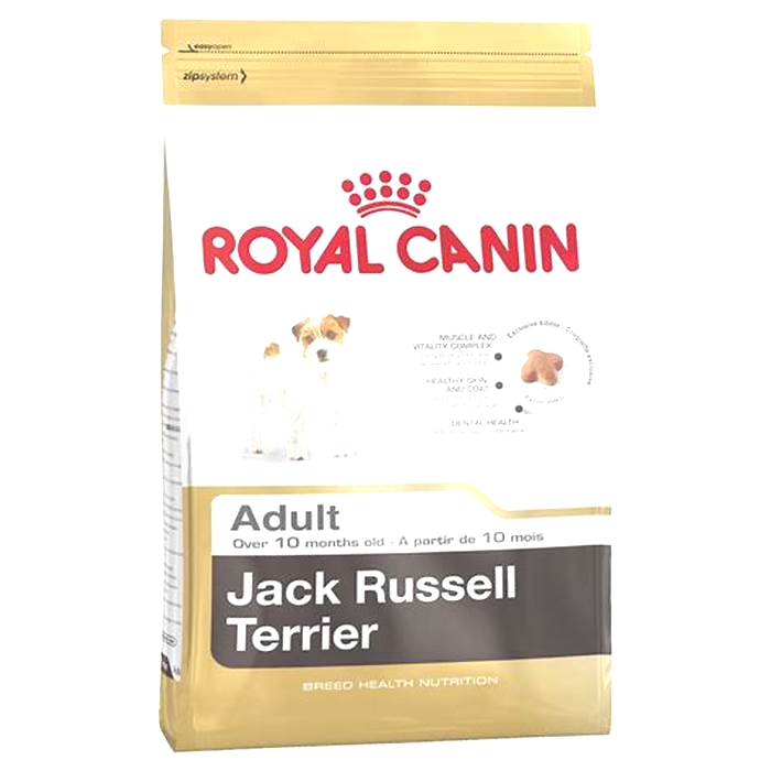 What is the best dry food for Jack Russells