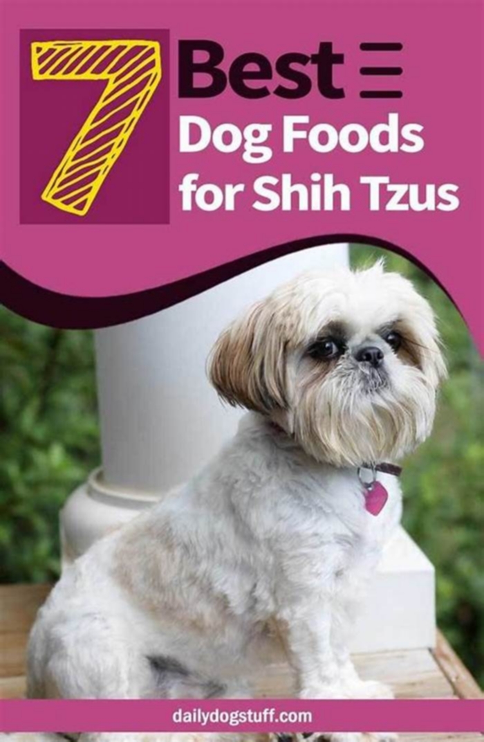 What is the best dry food for a Shih Tzu