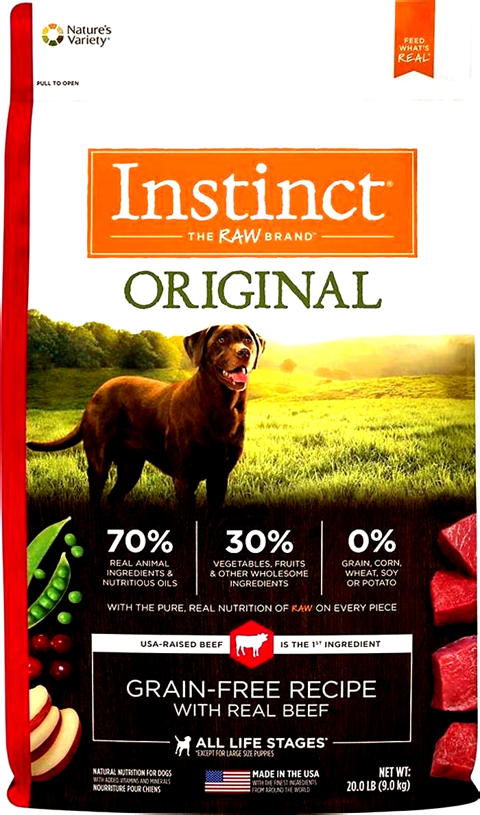 What is the best liquid to add to dry dog food?