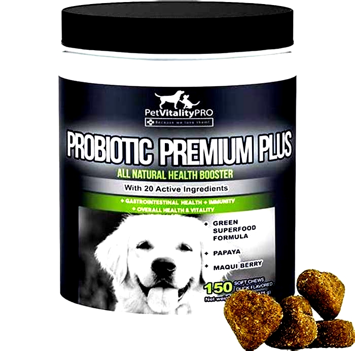 What is the best probiotic for dogs?