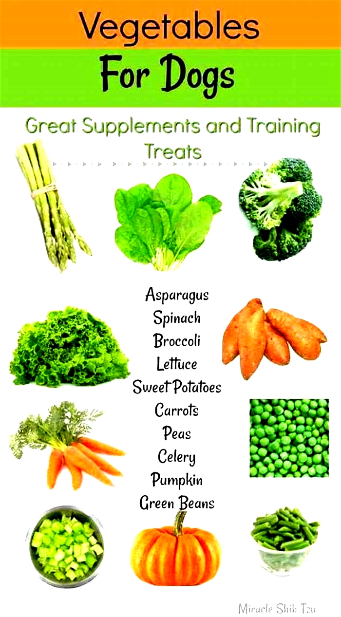 What is the best vegetable for Shih Tzu