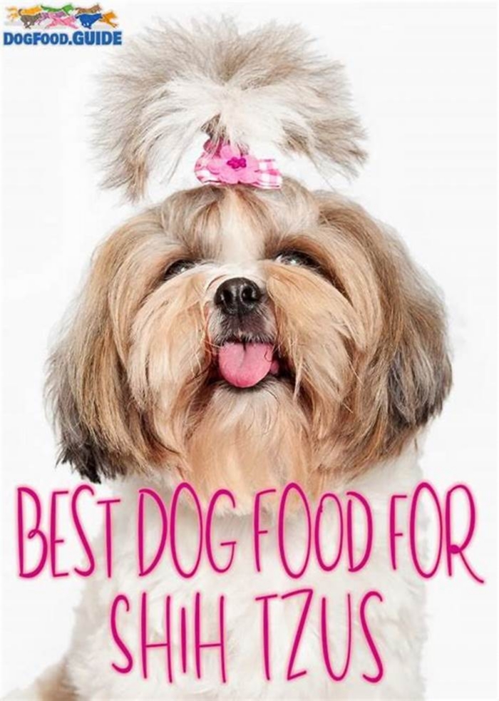 What is the healthiest dog food for a Shih Tzu?