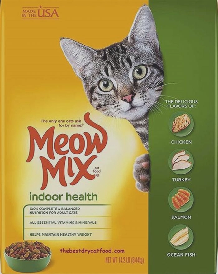 What is the healthiest indoor adult cat food