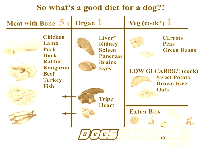 What is the healthiest meat to feed your dog?