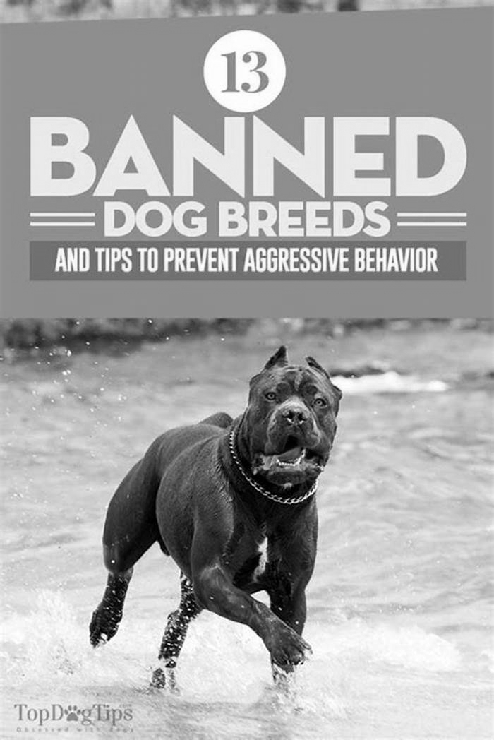 What is the number one banned dog?