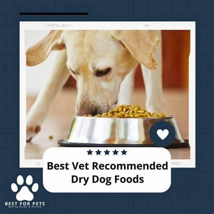 What is the number one dry dog food recommended by vets