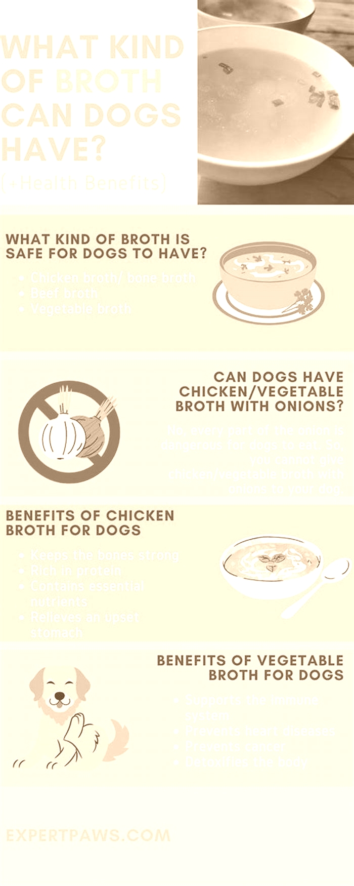 What kind of broth do you put in dog food?