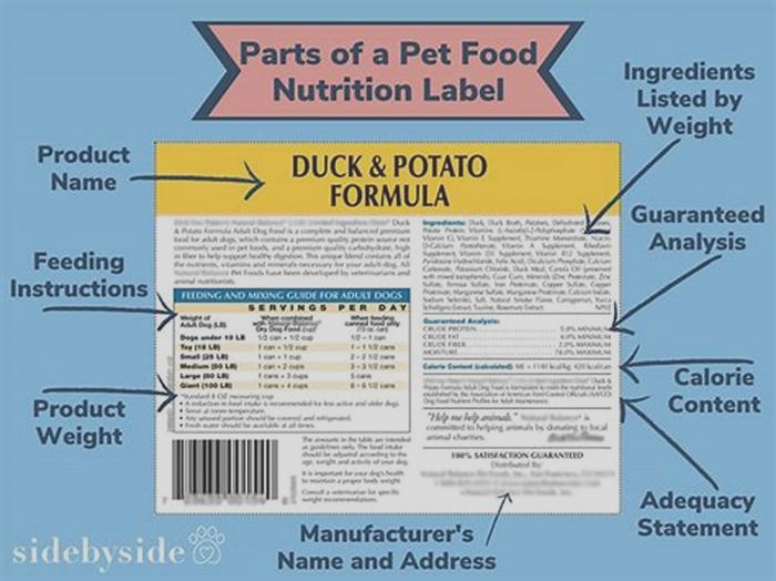 What should be the number 1 ingredient in dog food?