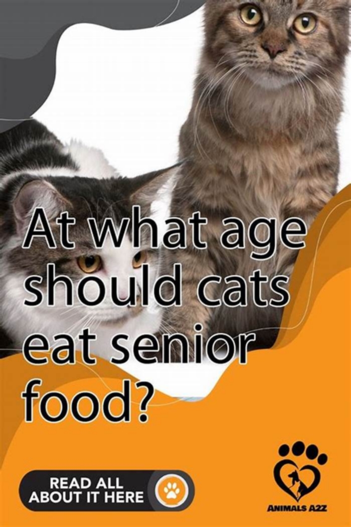 What should senior cats avoid in food?