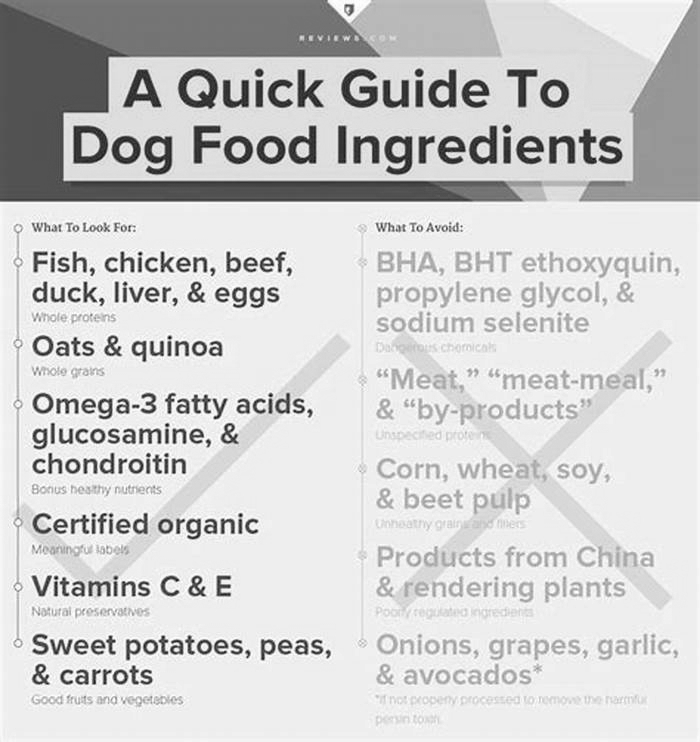 What should the first 5 ingredients be in dog food