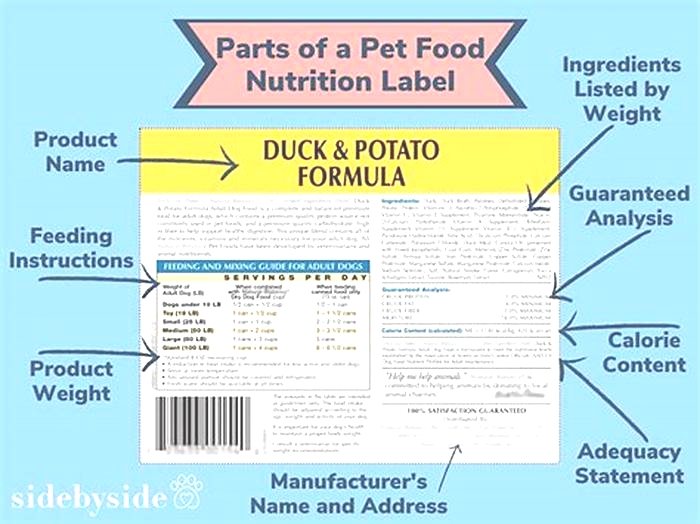 What should top 3 ingredients be in dog food