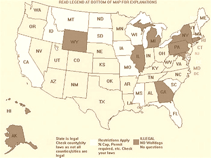 What states are wolf dogs illegal?