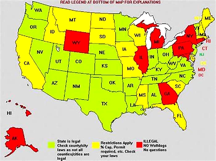 What states are wolfdogs legal in