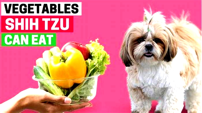 What vegetables can Shih Tzu have