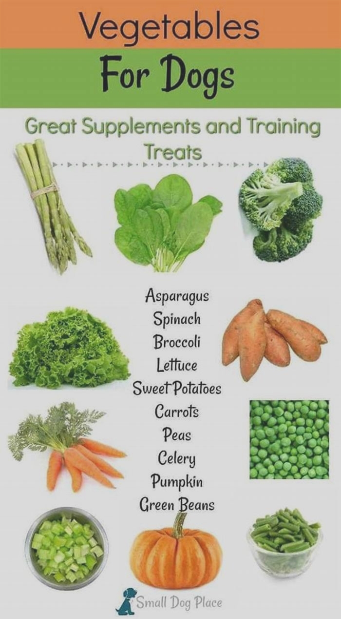 What vegetables can dogs eat