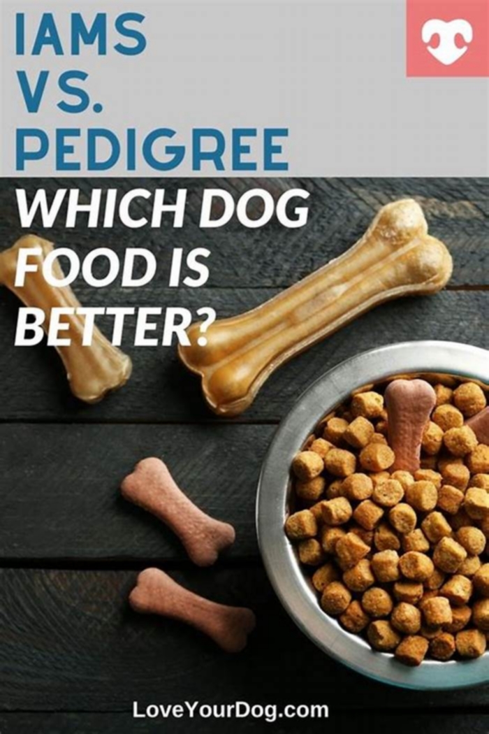 Which dog food is better than Pedigree?