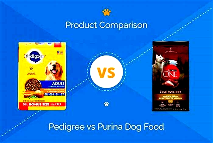 Which is better Purina or Pedigree dog food