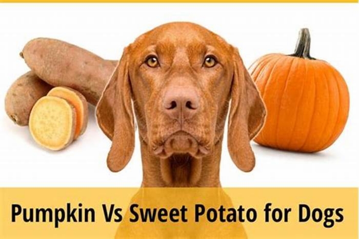 Which is better for dogs, pumpkin or sweet potato?