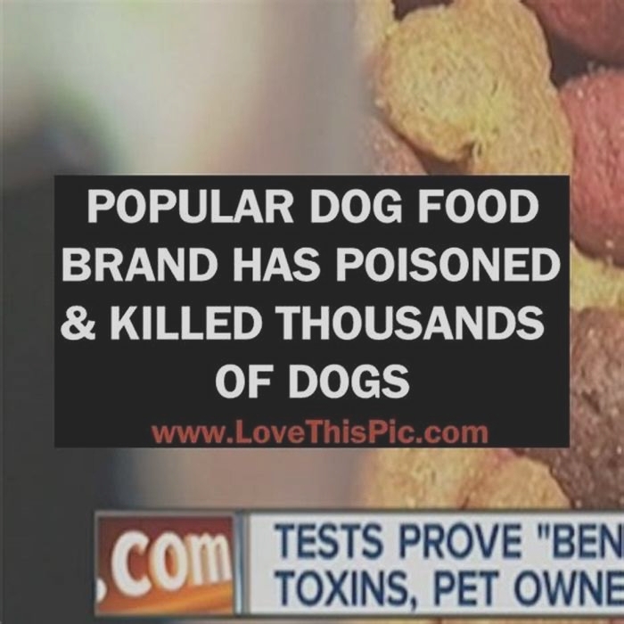 Which popular dog food brand has poisoned and killed thousands of dogs?