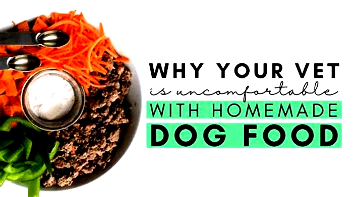 Why are vets against homemade dog food