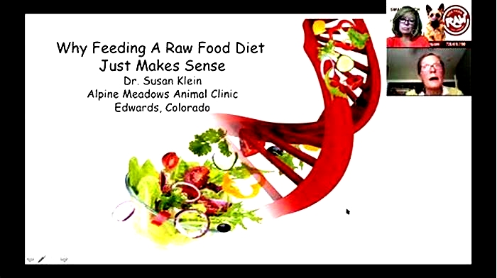 Why are vets against raw diets