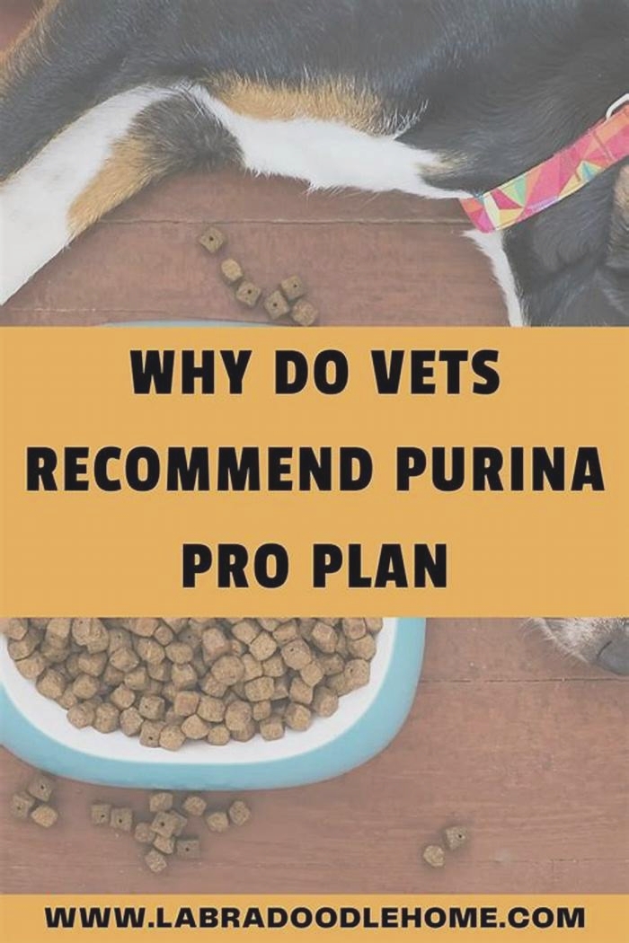 Why do vets always recommend Purina