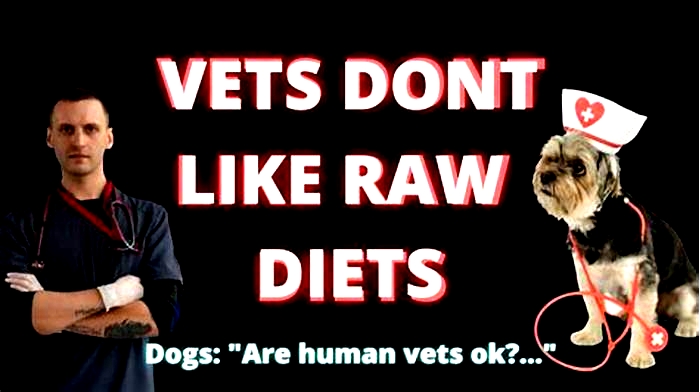 Why do vets not recommend raw diets?