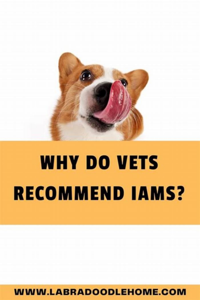 Why do vets recommend IAMS?