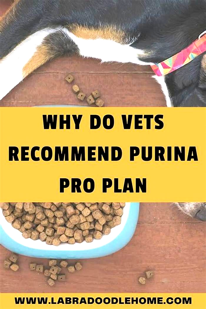 Why do vets recommend Purina Pro Plan?