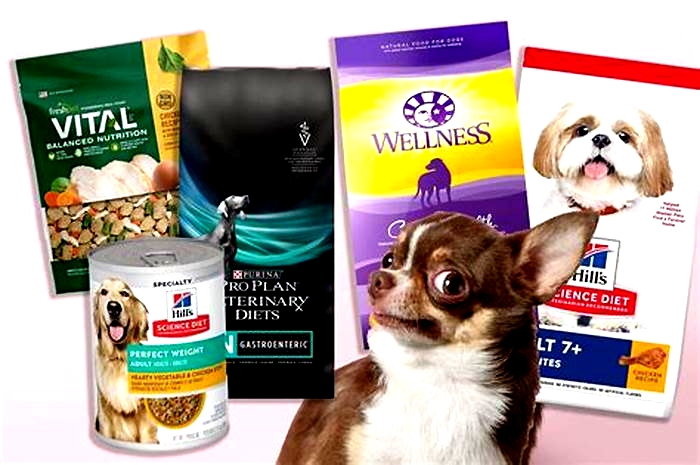 Why do vets recommend dry food for dogs?