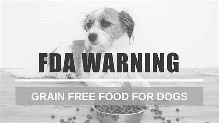 Why do vets say no grain free dog food