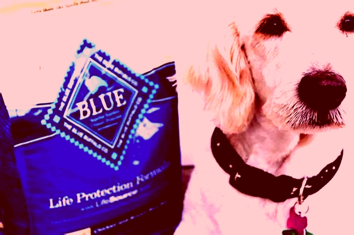 Why does my vet not recommend Blue Buffalo?