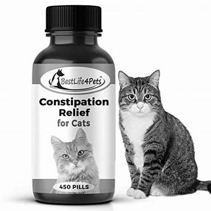 Will laxatives help a cat with a blockage?